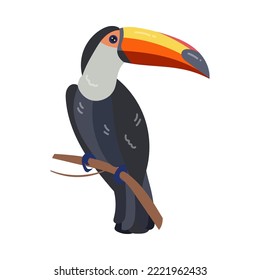 Toukan und tropischer heller Vogel. Vektorgrafik von bunten Tieren aus exotischen Inselparadies. Cartoon Toucan einzeln auf Weiß. Natur- und Zoo-Konzept, Fauna, Ornithologie