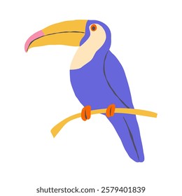 Toucan, tropical brightly coloured bird on white background