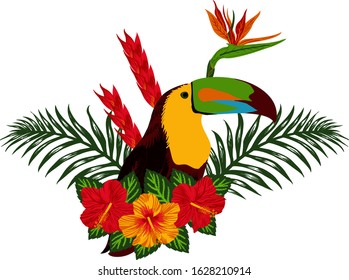 Toucan Tropical Floral vector Design