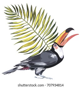 Toucan with tropical leaf. Element for design of invitations, movie posters, fabrics and other objects. Isolated on white.