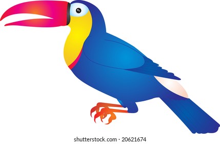 toucan vector
