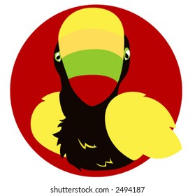 Toucan - Vector