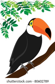 Toucan vector