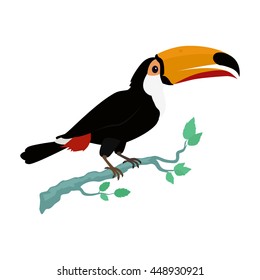Toucan vector. Animals of rainy Amazonian forests in flat design. Fauna of South America. Wild life in tropics concept for posters, childrens books illustrating. Toucan on branch isolated on white.