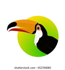 Toucan vector. Animals of rainy Amazonian forests in flat design. Fauna of South America. Wild life in tropics concept for posters, childrens books illustrating. Beautiful toucan isolated on white.