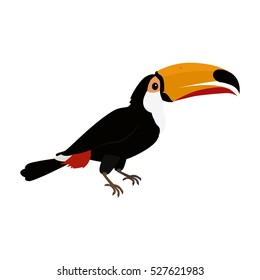Toucan vector. Animals of rainy Amazonian forests in flat design. Fauna of South America. Wild life in tropics concept for posters, childrens books illustrating. Beautiful toucan isolated on white.