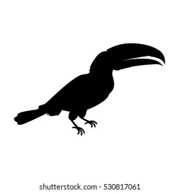Toucan vector. Animals of rainy Amazonian forests in black color. Fauna of South America. Wild life in tropics concept for posters, childrens books illustrating. Beautiful toucan isolated on white.