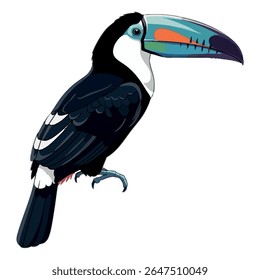 Toucan vector drawing – side view, full body on white background, 2D vector illustration
