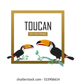 Toucan vector frame. Animals of Amazonian forests in flat design. Fauna of South America. Wild life in tropics concept for posters, childrens books illustrating. Toucans on branch isolated on white.