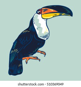 Toucan, Vector hand drawn illustration