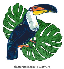 Toucan, Vector hand drawn illustration