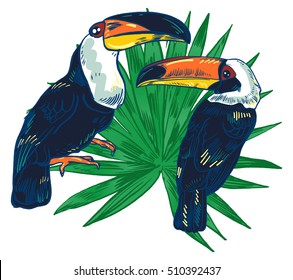 Toucan, Vector hand drawn illustration