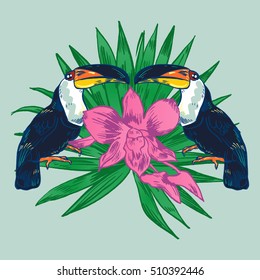 Toucan, Vector hand drawn illustration