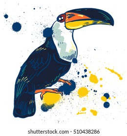 Toucan, Vector hand drawn illustration