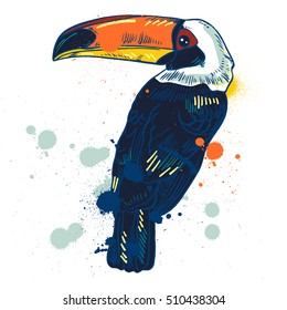 Toucan, Vector hand drawn illustration