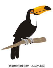 toucan, vector icon