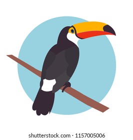 The Toucan Vector Illustration