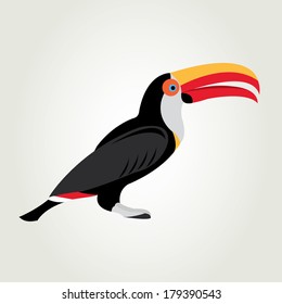 Toucan. Vector illustration.