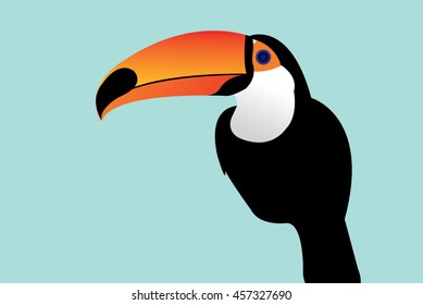 toucan vector illustration