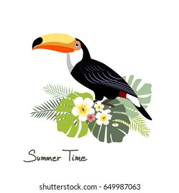 Toucan, vector illustration