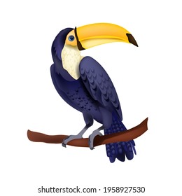 Toucan vector illustration, exotic tropical sitting bird isolated on white, yellow beak, purple feather. Amazon summer wildlife nature clipart, branch, Brazil paradise parrot. Toucan vector concept