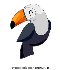 Toucan vector illustration. Toucan isolated on white background. 