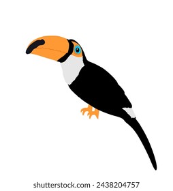 Ilustración de vector de tucán aislado sobre fondo blanco. Pájaro tropical exótico de América.