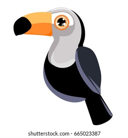 Toucan vector illustration. Toucan isolated on white background. 