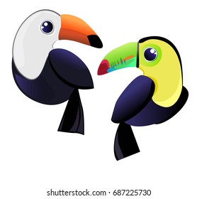 Toucan vector illustration. Toucan isolated on white background. 