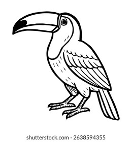 toucan vector realistic line icon on white background
Vector line icon animal, wildlife
