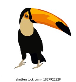 Toucan vector stock illustration. Woodpecker. A bright bird, a big yellow beak. Isolated on a white background. A tropical bird that lives in the jungles of the continent. South America fauna.