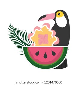toucan watermelon and flower tropical summer