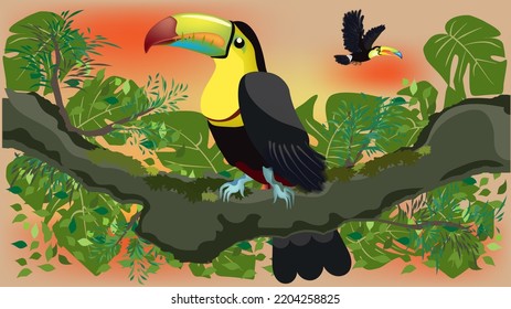 Toucan,Kielskiel, Regenbogen-Tucan, heller, farbiger Schnabel, Riesenvögel einzeln auf tropischem Regenwaldhintergrund Vektorgrafik