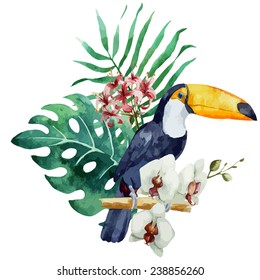 toucan,orchid, watercolor