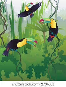 Toucans