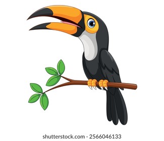 Toucans bird cartoon on tree branch vector illustration