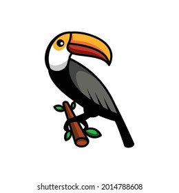 Toucans Birds mascot cartoon logo design.Suitable for creative industries,Birds shop ,t-shirts,stickers , etc