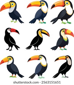 toucans from different angles on white background. Vector beautiful characters toucans in cartoon style. 