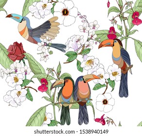 Toucans and flowers seamless vector pattern.Roses, rhododendron, orchids on birds on white background.