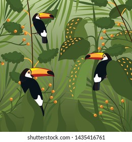 toucans in green vector background