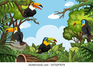 Toucans in jungle scene illustration