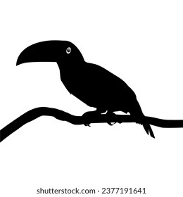 Toucans are Neotropical members of the near passerine bird family Ramphastidae. The Ramphastidae are most closely related to the American barbets, Bird Silhouette. Vector Illustration