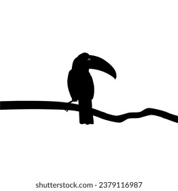 Toucans are Neotropical members of the near passerine bird family Ramphastidae. The Ramphastidae are most closely related to the American barbets, Bird Silhouette. Vector Illustration
