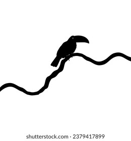 Toucans are Neotropical members of the near passerine bird family Ramphastidae. The Ramphastidae are most closely related to the American barbets, Bird Silhouette. Vector Illustration