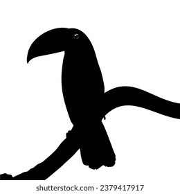 Toucans are Neotropical members of the near passerine bird family Ramphastidae. The Ramphastidae are most closely related to the American barbets, Bird Silhouette. Vector Illustration