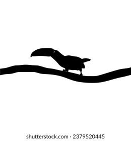 Toucans are Neotropical members of the near passerine bird family Ramphastidae. The Ramphastidae are most closely related to the American barbets, Bird Silhouette. Vector Illustration