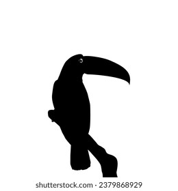 Toucans are Neotropical members of the near passerine bird family Ramphastidae. The Ramphastidae are most closely related to the American barbets, Bird Silhouette. Vector Illustration