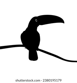 Toucans are Neotropical members of the near passerine bird family Ramphastidae. The Ramphastidae are most closely related to the American barbets, Bird Silhouette. Vector Illustration