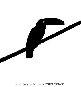 Toucans are Neotropical members of the near passerine bird family Ramphastidae. The Ramphastidae are most closely related to the American barbets, Bird Silhouette. Vector Illustration