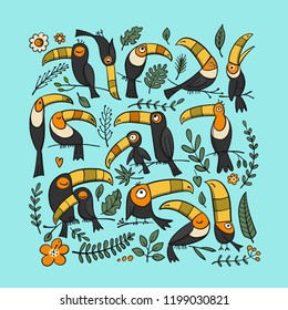 Toucans, paradise tropical bird for your design